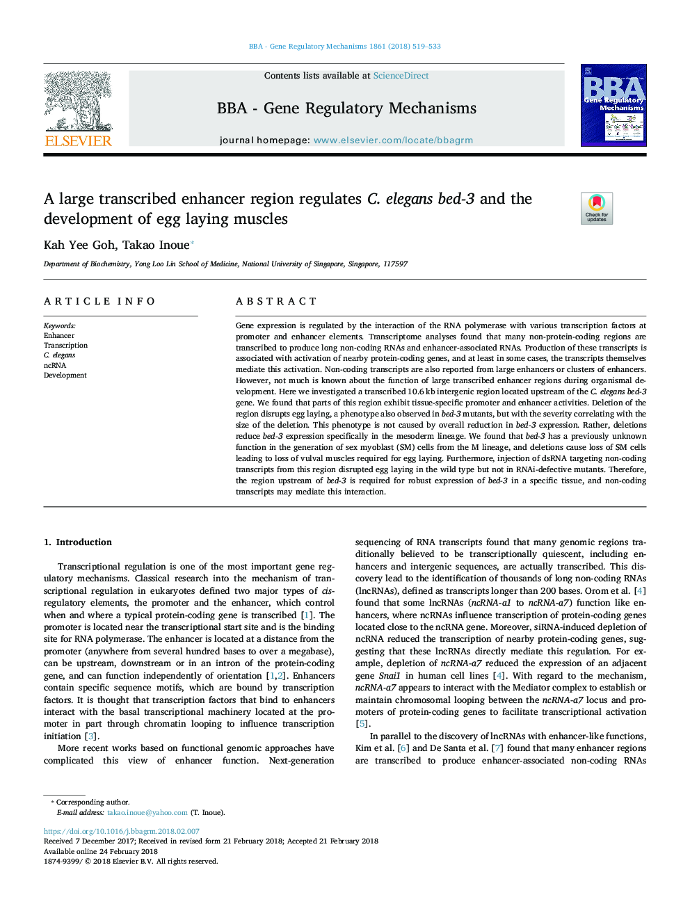 A large transcribed enhancer region regulates C. elegans bed-3 and the development of egg laying muscles