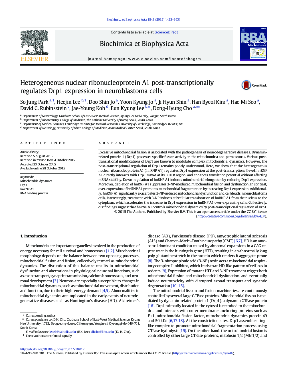 Heterogeneous nuclear ribonucleoprotein A1 post-transcriptionally regulates Drp1 expression in neuroblastoma cells