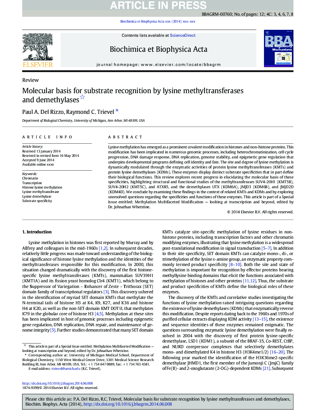 Molecular basis for substrate recognition by lysine methyltransferases and demethylases