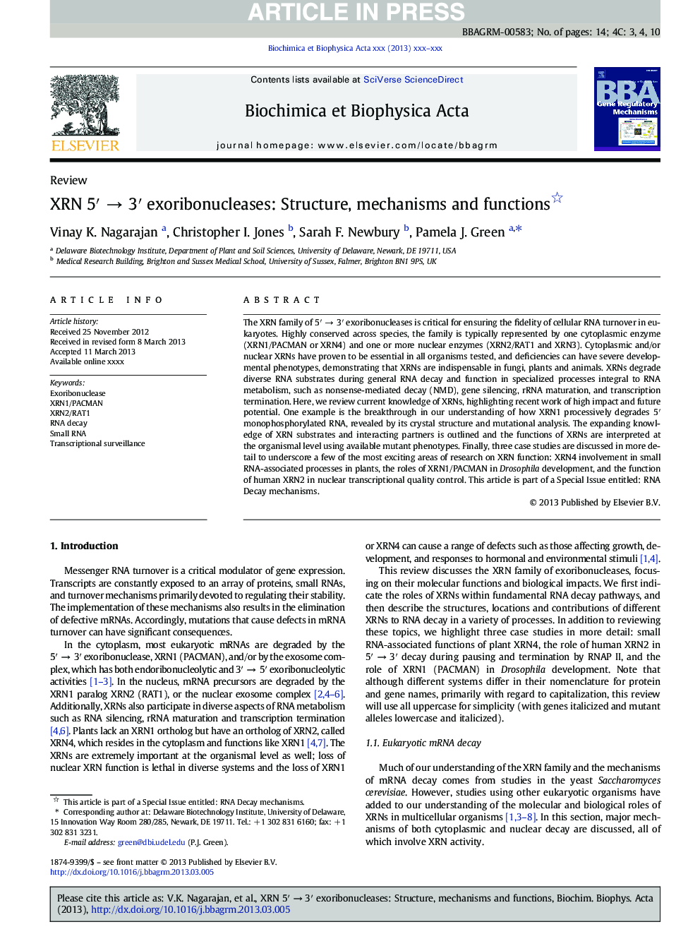 XRN 5â²Â âÂ 3â² exoribonucleases: Structure, mechanisms and functions