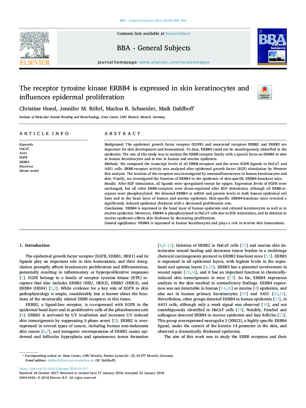 The receptor tyrosine kinase ERBB4 is expressed in skin keratinocytes and influences epidermal proliferation