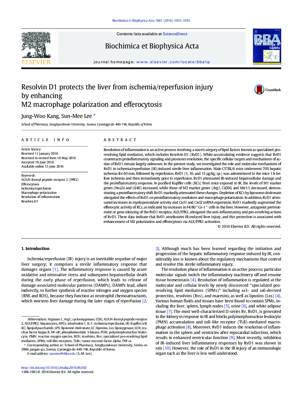 Resolvin D1 protects the liver from ischemia/reperfusion injury by enhancing M2 macrophage polarization and efferocytosis