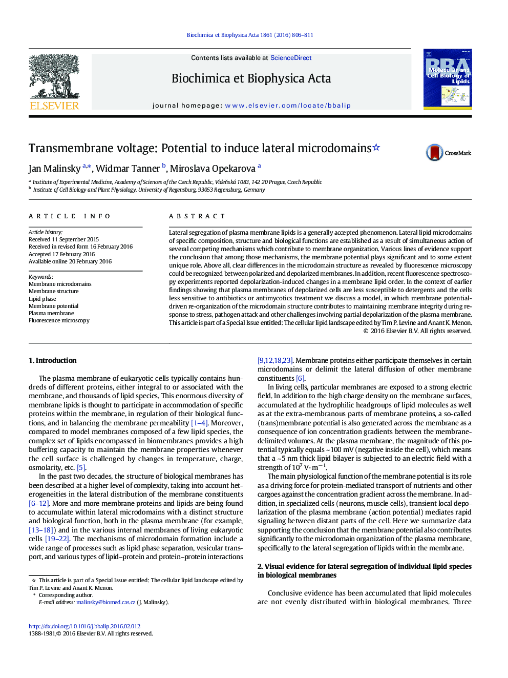 Transmembrane voltage: Potential to induce lateral microdomains