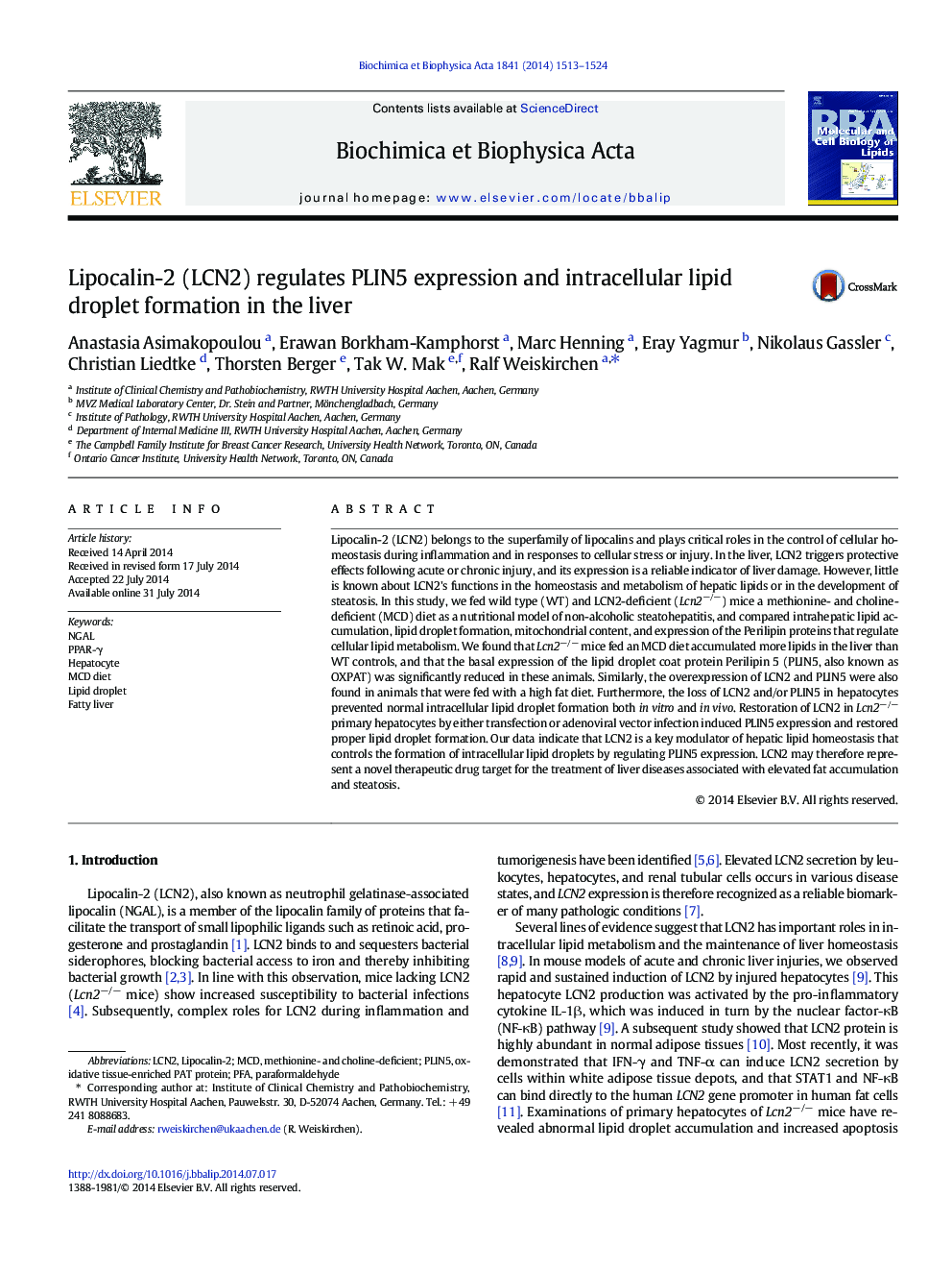 Lipocalin-2 (LCN2) regulates PLIN5 expression and intracellular lipid droplet formation in the liver