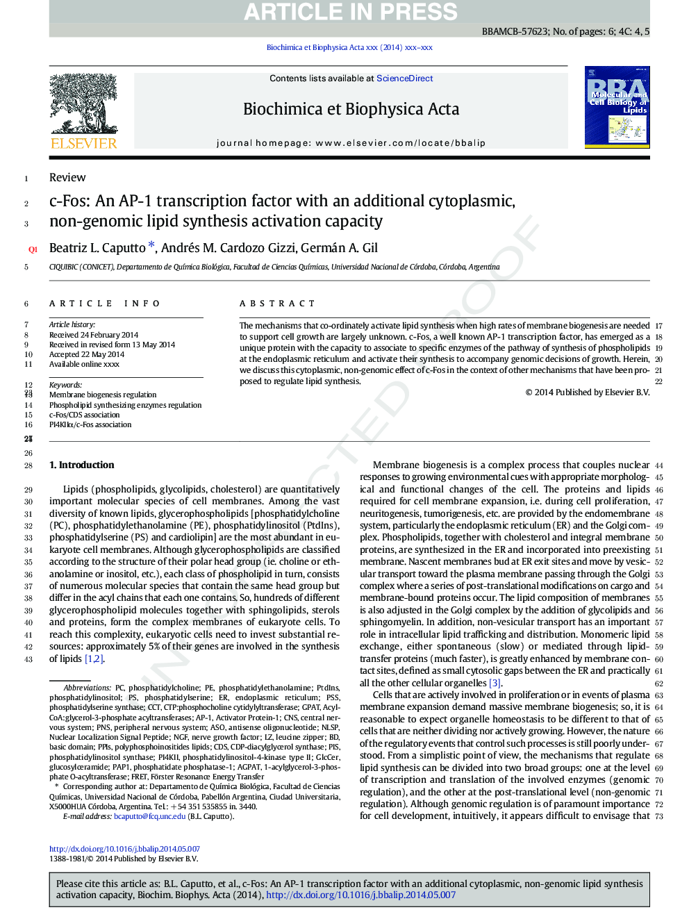 c-Fos: An AP-1 transcription factor with an additional cytoplasmic, non-genomic lipid synthesis activation capacity