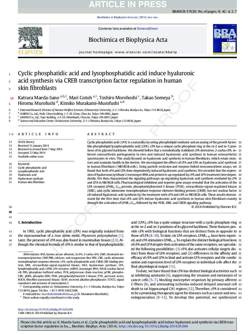 Cyclic phosphatidic acid and lysophosphatidic acid induce hyaluronic acid synthesis via CREB transcription factor regulation in human skin fibroblasts