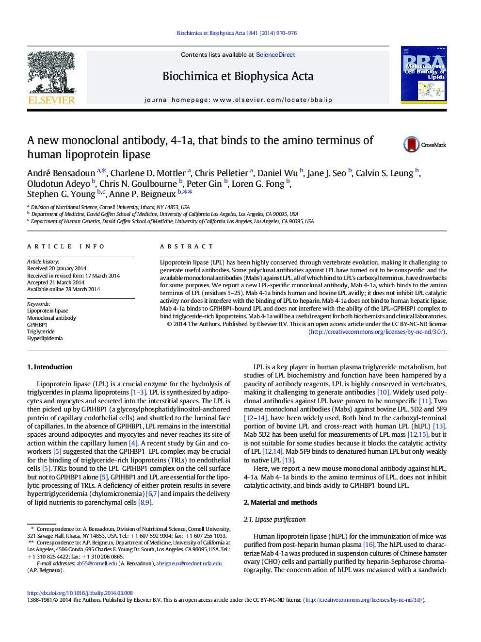 A new monoclonal antibody, 4-1a, that binds to the amino terminus of human lipoprotein lipase