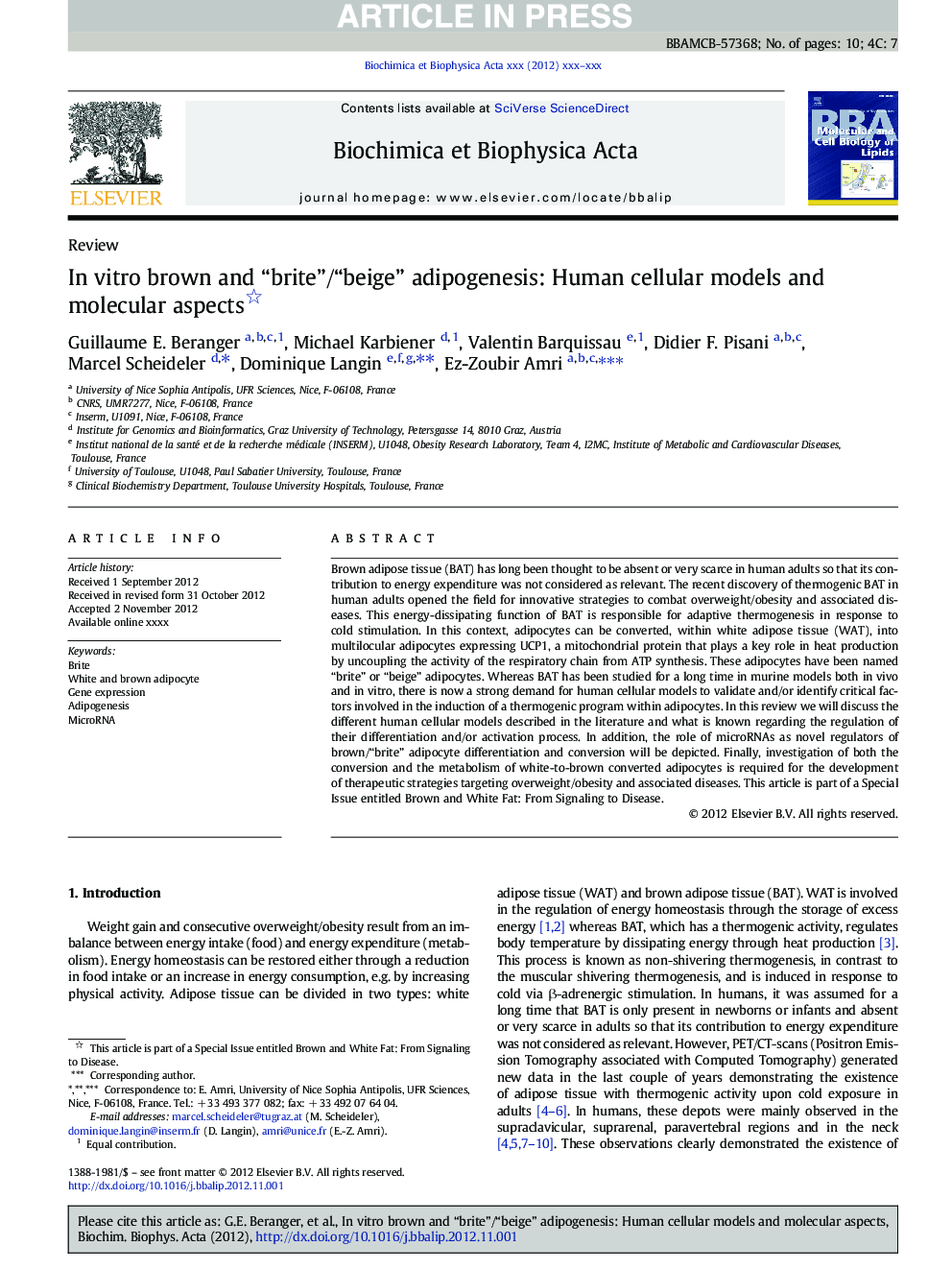 In vitro brown and “brite”/“beige” adipogenesis: Human cellular models and molecular aspects