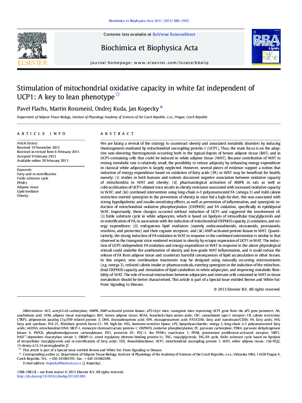 Stimulation of mitochondrial oxidative capacity in white fat independent of UCP1: A key to lean phenotype