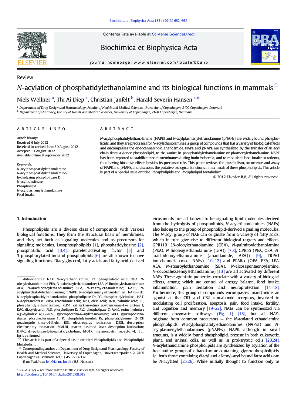 N-acylation of phosphatidylethanolamine and its biological functions in mammals