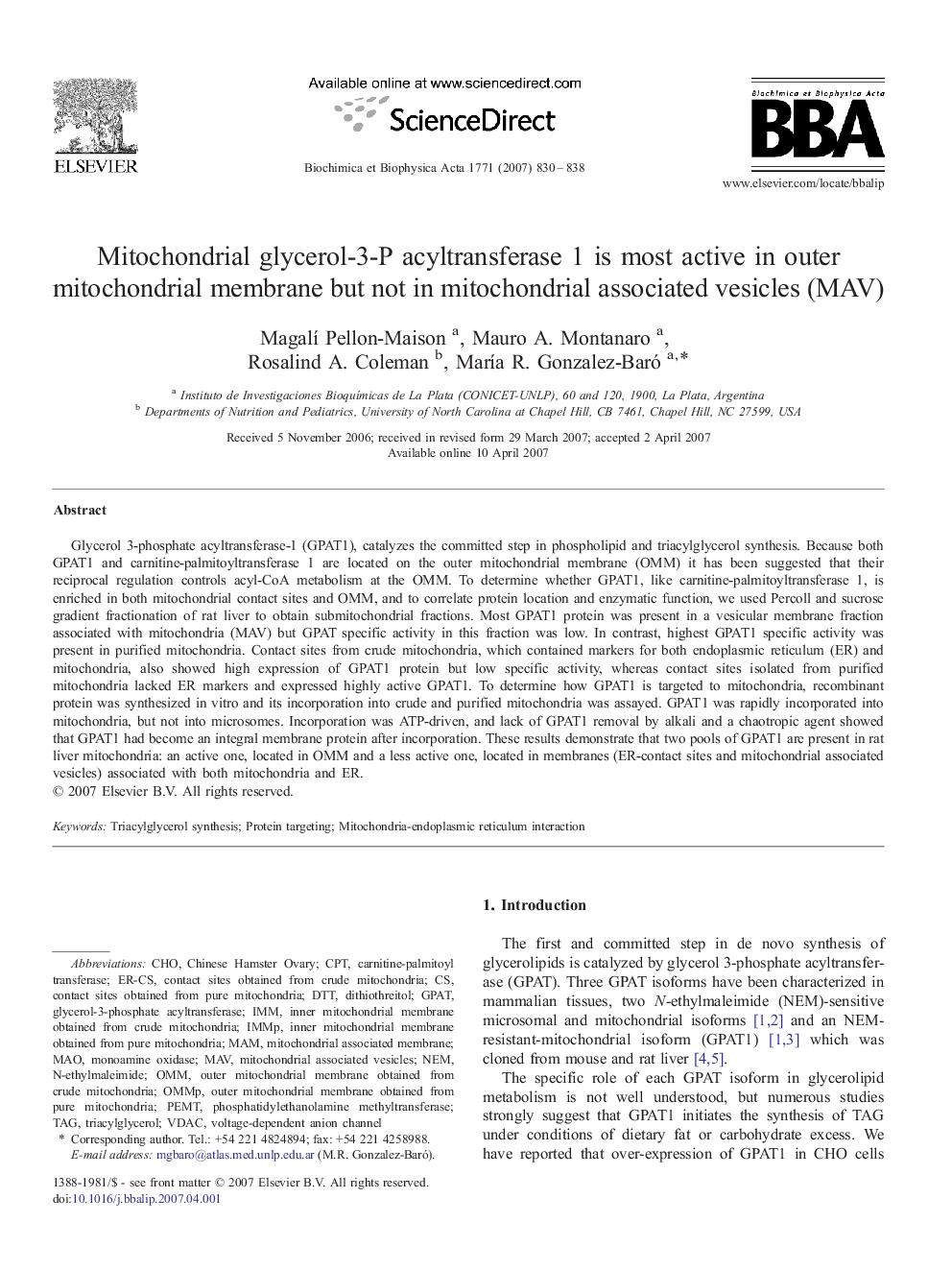 Mitochondrial glycerol-3-P acyltransferase 1 is most active in outer mitochondrial membrane but not in mitochondrial associated vesicles (MAV)