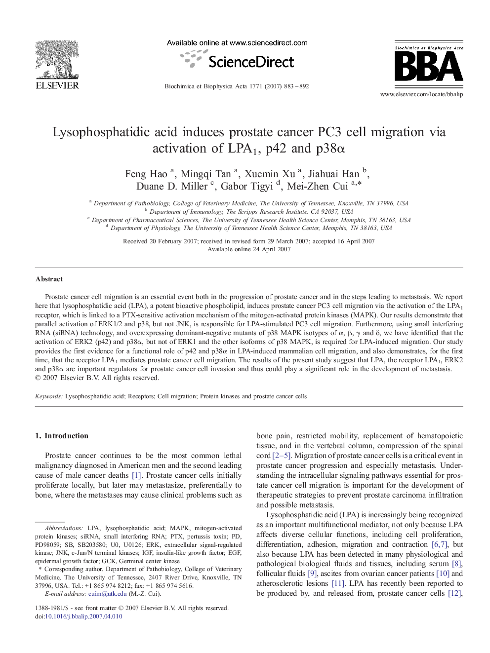 Lysophosphatidic acid induces prostate cancer PC3 cell migration via activation of LPA1, p42 and p38Î±