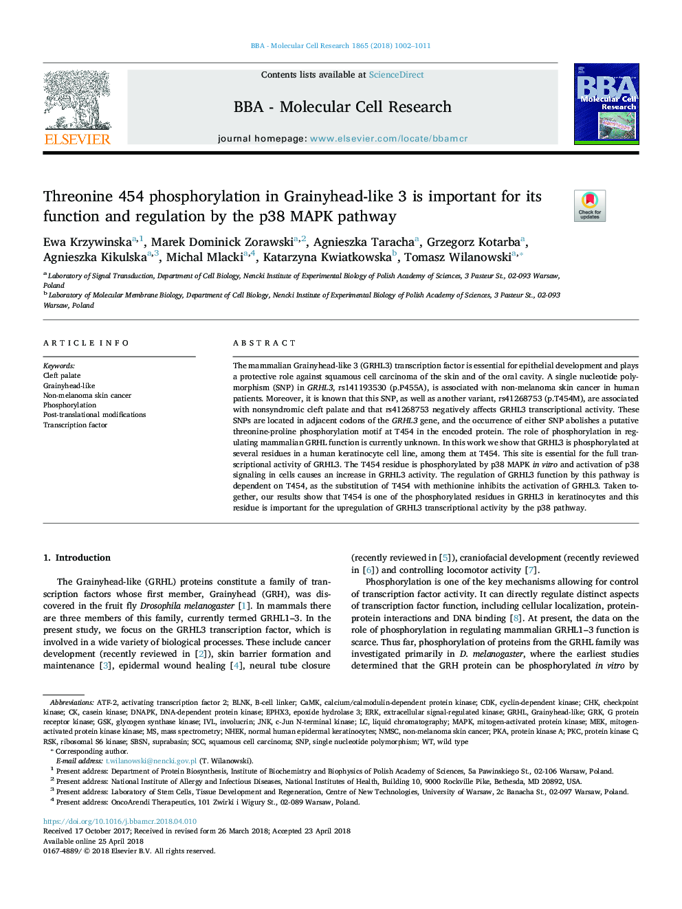 Threonine 454 phosphorylation in Grainyhead-like 3 is important for its function and regulation by the p38 MAPK pathway