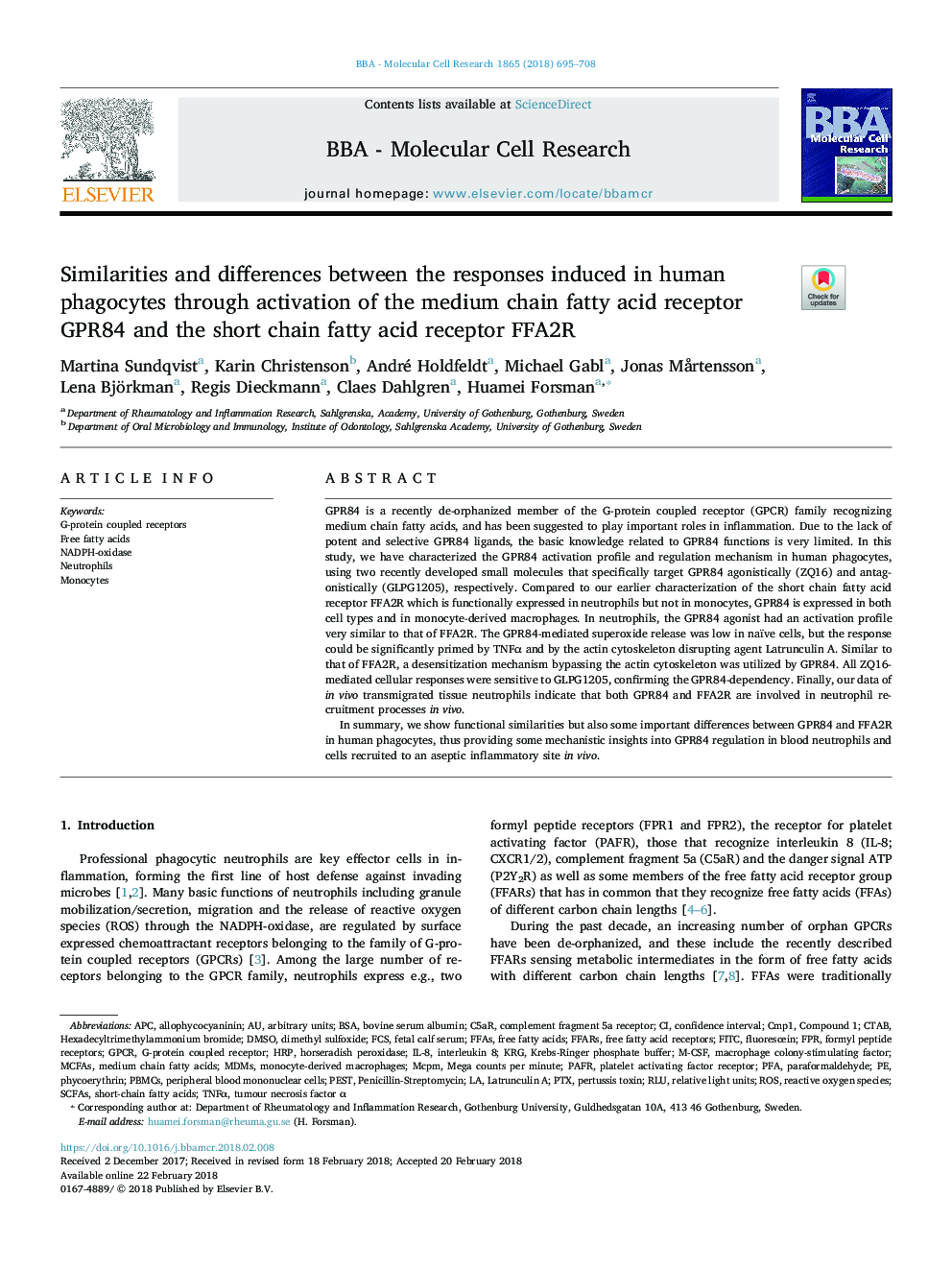 Similarities and differences between the responses induced in human phagocytes through activation of the medium chain fatty acid receptor GPR84 and the short chain fatty acid receptor FFA2R
