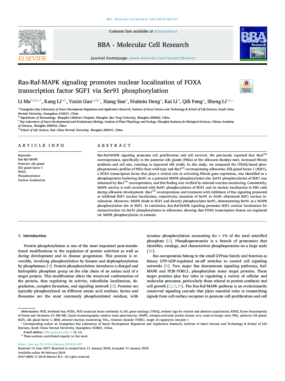 Ras-Raf-MAPK signaling promotes nuclear localization of FOXA transcription factor SGF1 via Ser91 phosphorylation