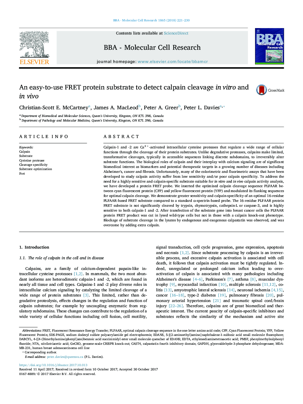 An easy-to-use FRET protein substrate to detect calpain cleavage in vitro and in vivo