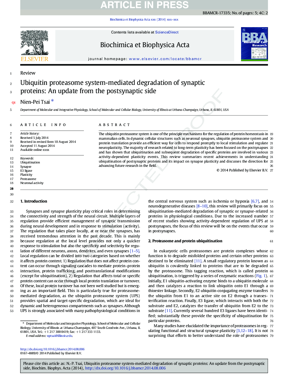 Ubiquitin proteasome system-mediated degradation of synaptic proteins: An update from the postsynaptic side