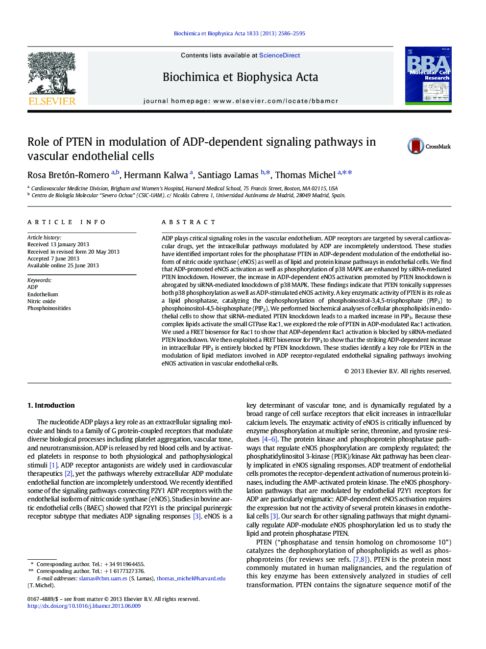 Role of PTEN in modulation of ADP-dependent signaling pathways in vascular endothelial cells