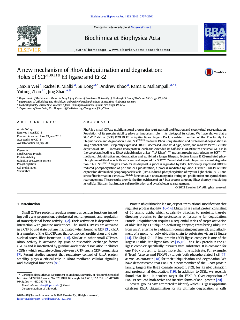 A new mechanism of RhoA ubiquitination and degradation: Roles of SCFFBXL19 E3 ligase and Erk2