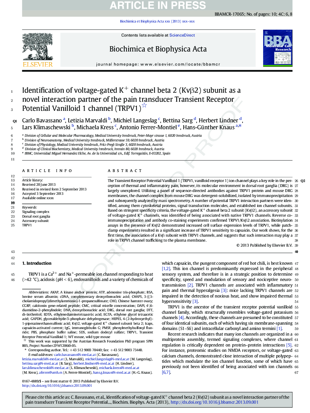 Identification of voltage-gated K+ channel beta 2 (KvÎ²2) subunit as a novel interaction partner of the pain transducer Transient Receptor Potential Vanilloid 1 channel (TRPV1)