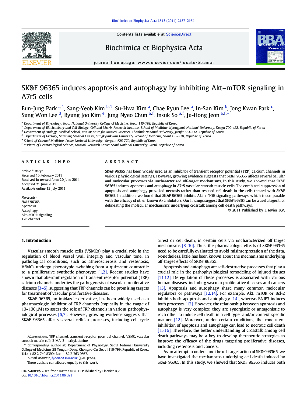 SK&F 96365 induces apoptosis and autophagy by inhibiting Akt-mTOR signaling in A7r5 cells