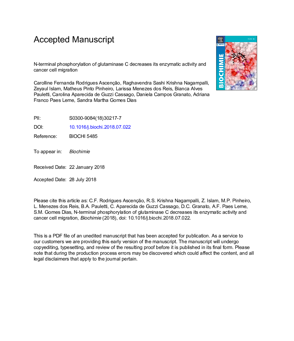 N-terminal phosphorylation of glutaminase C decreases its enzymatic activity and cancer cell migration