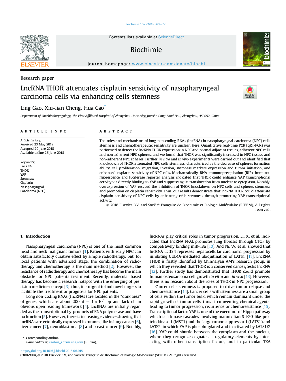 LncRNA THOR attenuates cisplatin sensitivity of nasopharyngeal carcinoma cells via enhancing cells stemness