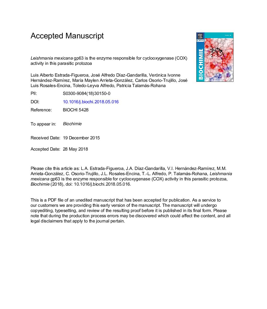 Leishmania mexicana gp63 is the enzyme responsible for cyclooxygenase (COX) activity in this parasitic protozoa