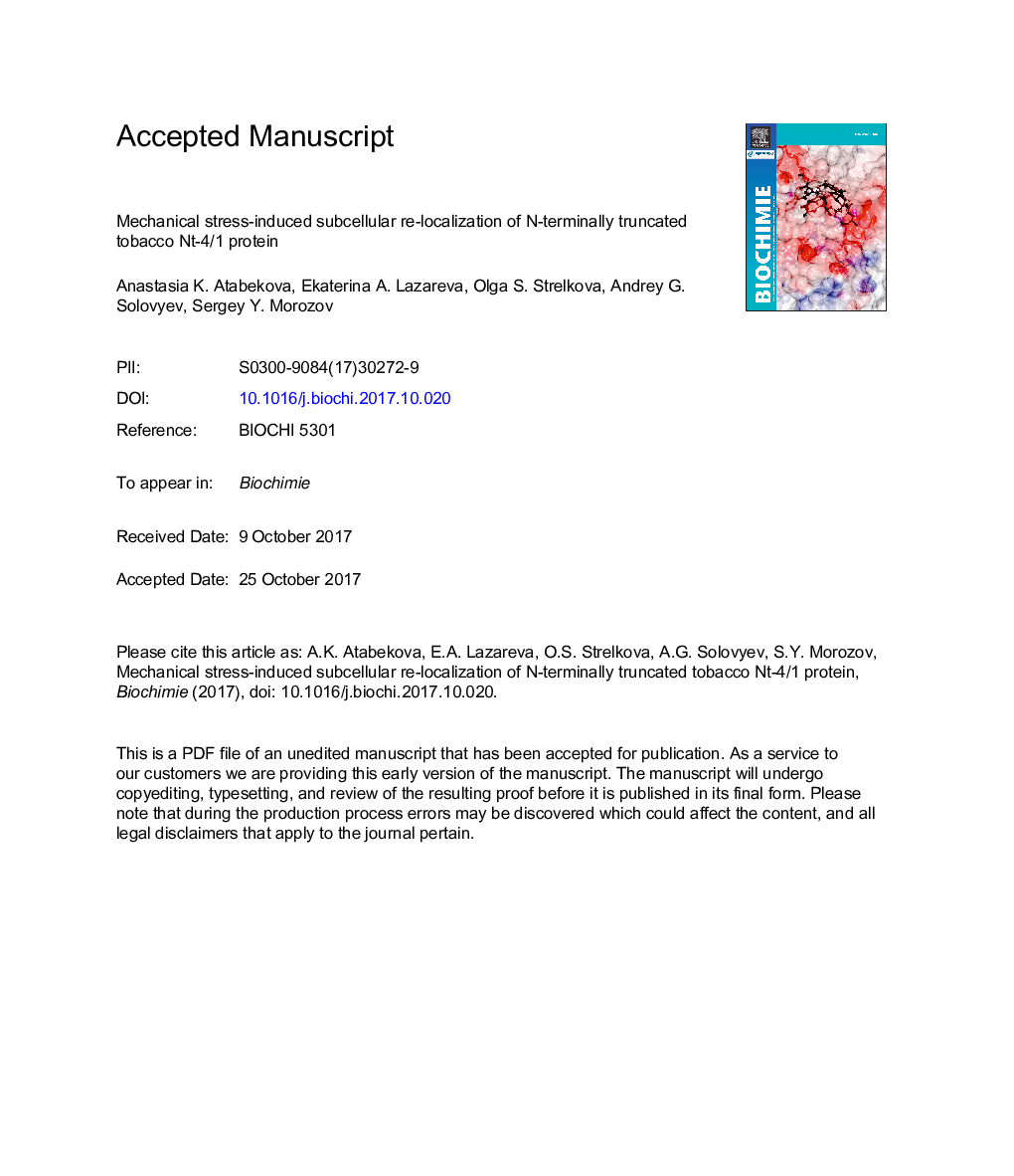 Mechanical stress-induced subcellular re-localization of N-terminally truncated tobacco Nt-4/1 protein