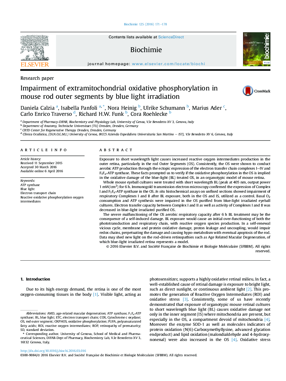 Impairment of extramitochondrial oxidative phosphorylation in mouse rod outer segments by blue light irradiation