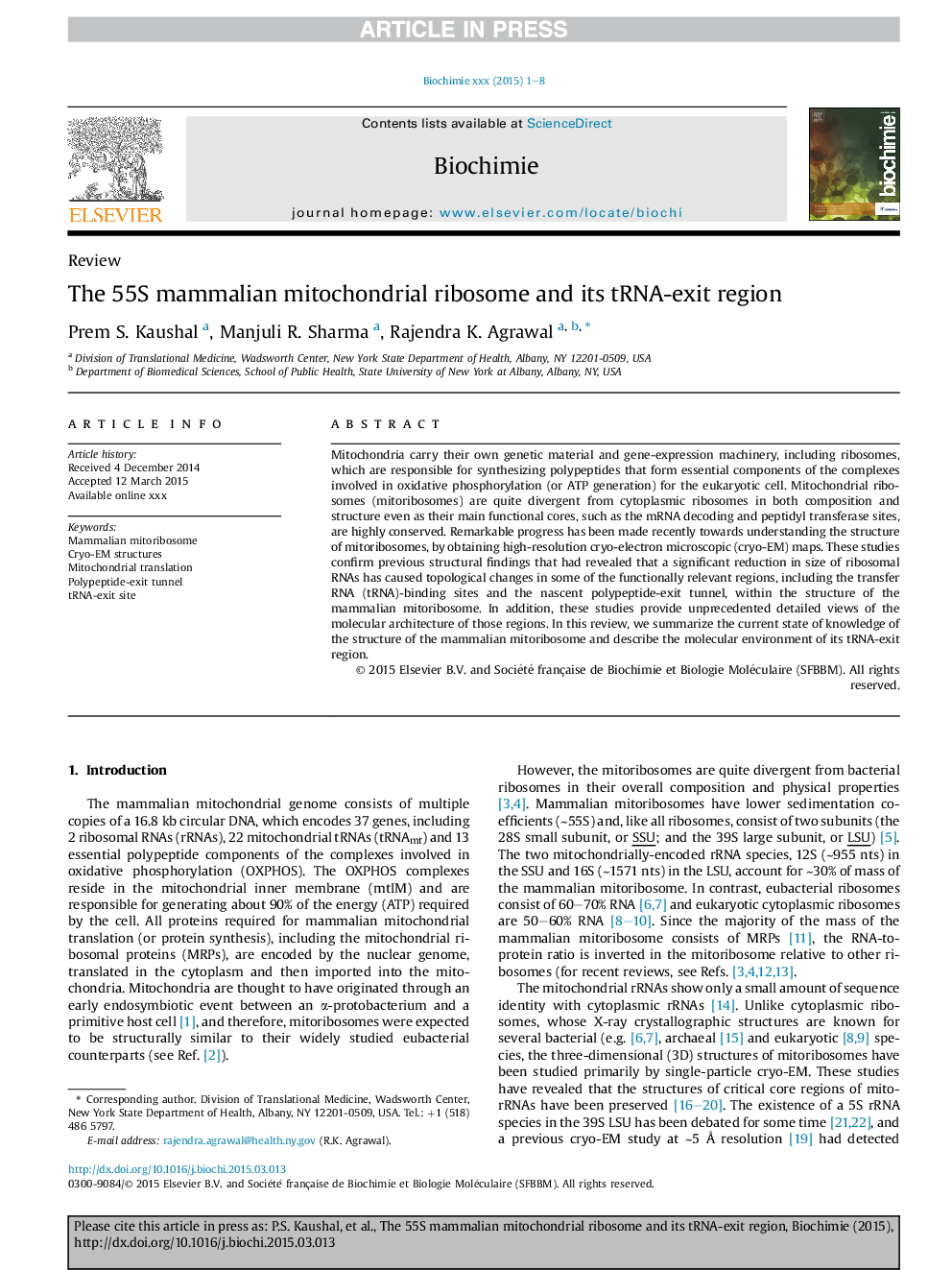 The 55S mammalian mitochondrial ribosome and its tRNA-exit region