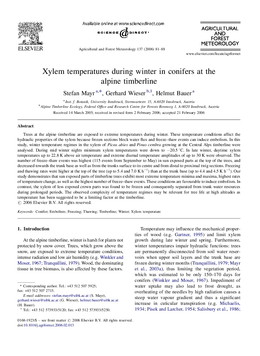 Xylem temperatures during winter in conifers at the alpine timberline