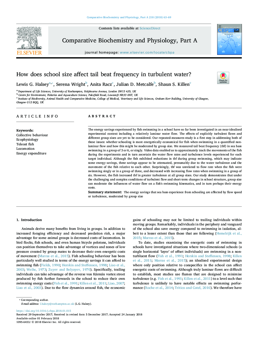 How does school size affect tail beat frequency in turbulent water?