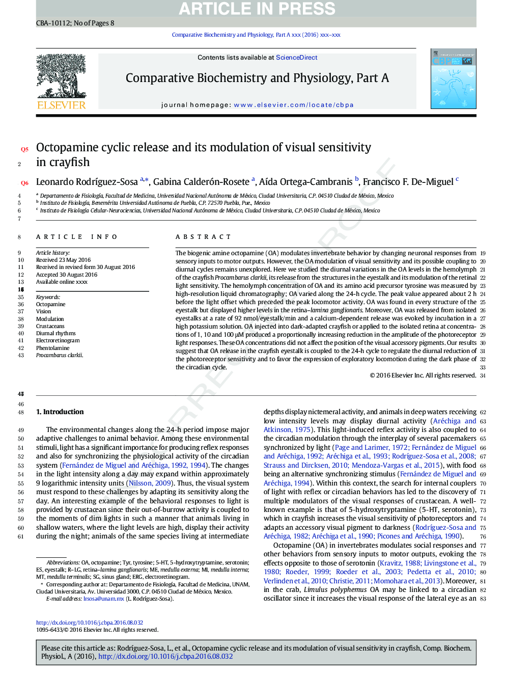 Octopamine cyclic release and its modulation of visual sensitivity in crayfish