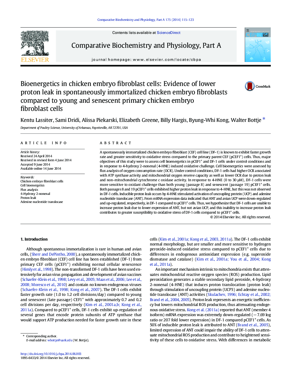 Bioenergetics in chicken embryo fibroblast cells: Evidence of lower proton leak in spontaneously immortalized chicken embryo fibroblasts compared to young and senescent primary chicken embryo fibroblast cells