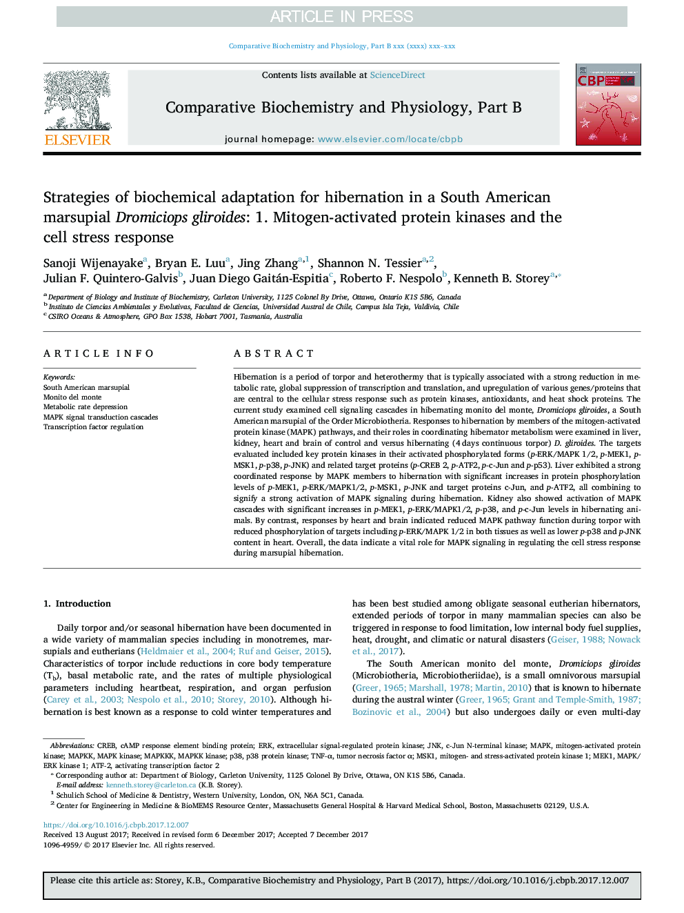 Strategies of biochemical adaptation for hibernation in a South American marsupial Dromiciops gliroides: 1. Mitogen-activated protein kinases and the cell stress response