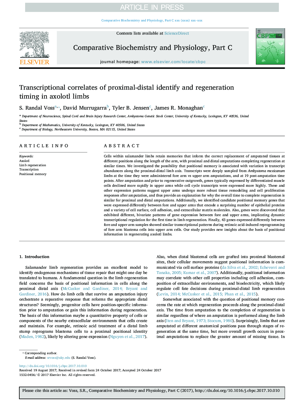 Transcriptional correlates of proximal-distal identify and regeneration timing in axolotl limbs