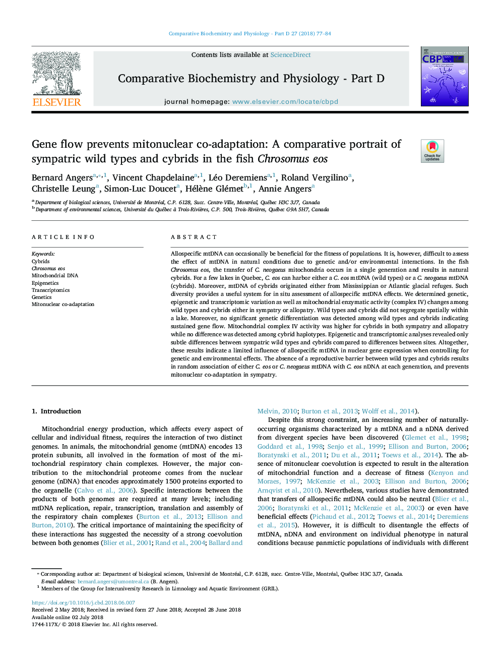 Gene flow prevents mitonuclear co-adaptation: A comparative portrait of sympatric wild types and cybrids in the fish Chrosomus eos