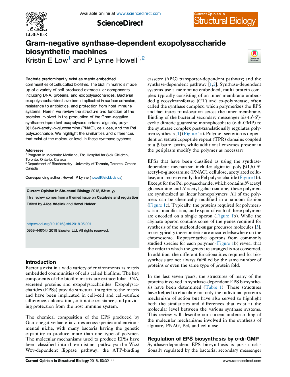 Gram-negative synthase-dependent exopolysaccharide biosynthetic machines