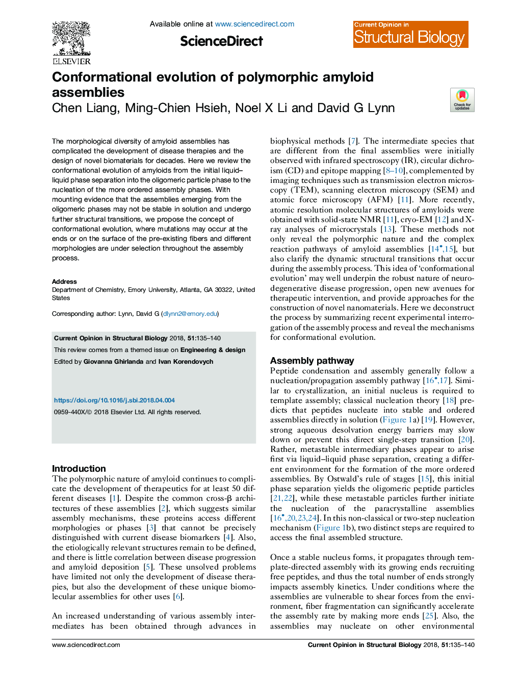 Conformational evolution of polymorphic amyloid assemblies