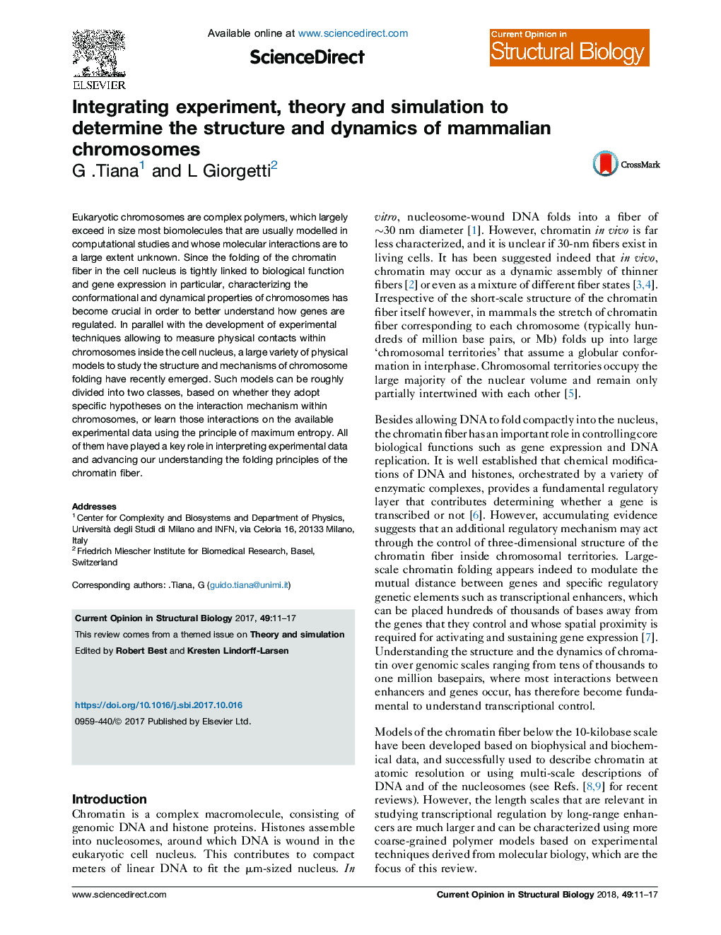 Integrating experiment, theory and simulation to determine the structure and dynamics of mammalian chromosomes