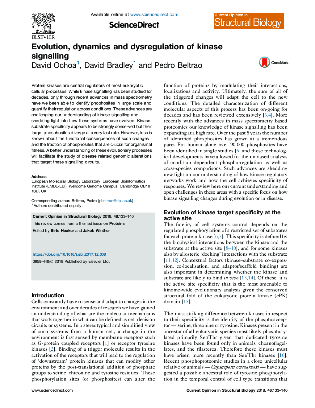 Evolution, dynamics and dysregulation of kinase signalling