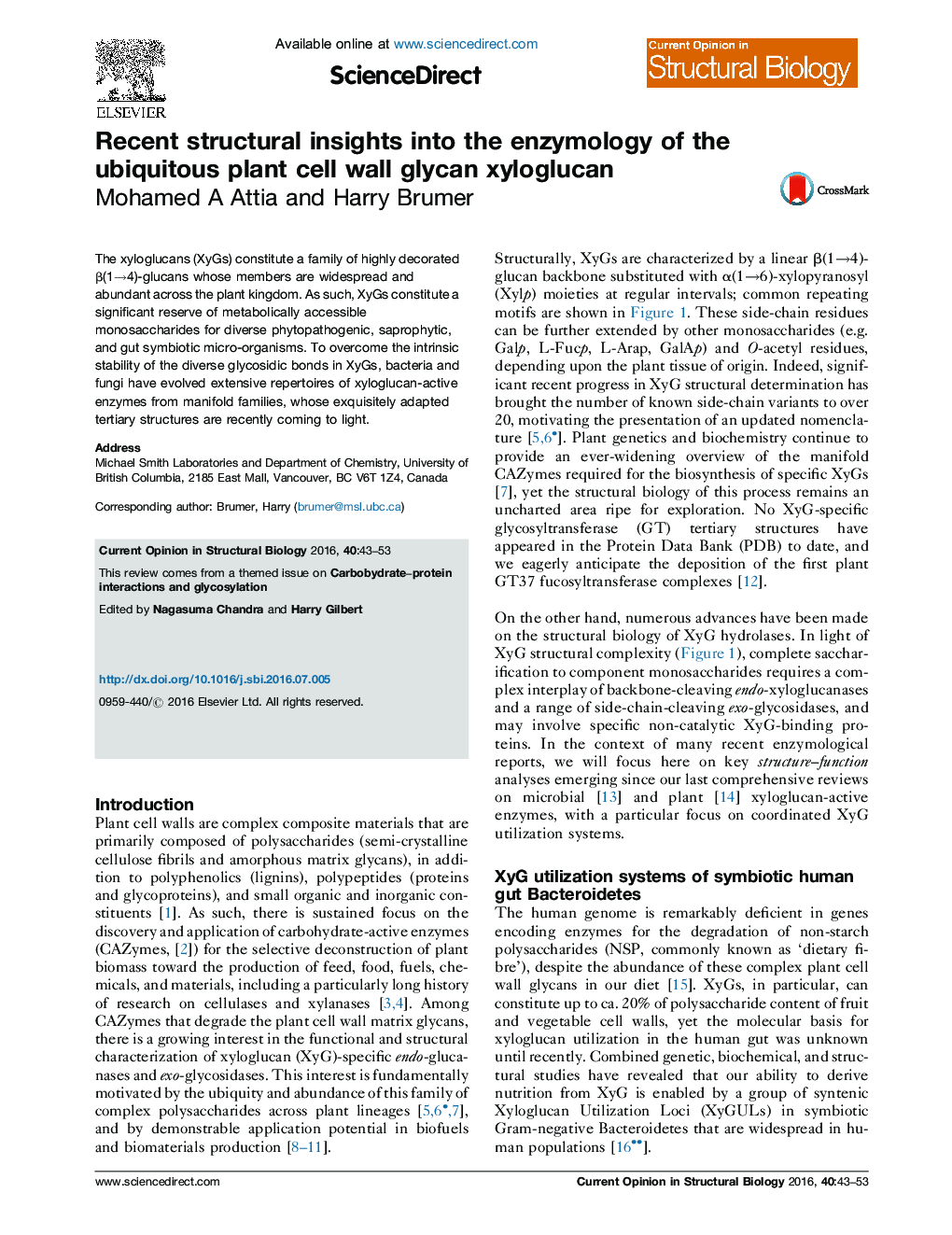 Recent structural insights into the enzymology of the ubiquitous plant cell wall glycan xyloglucan