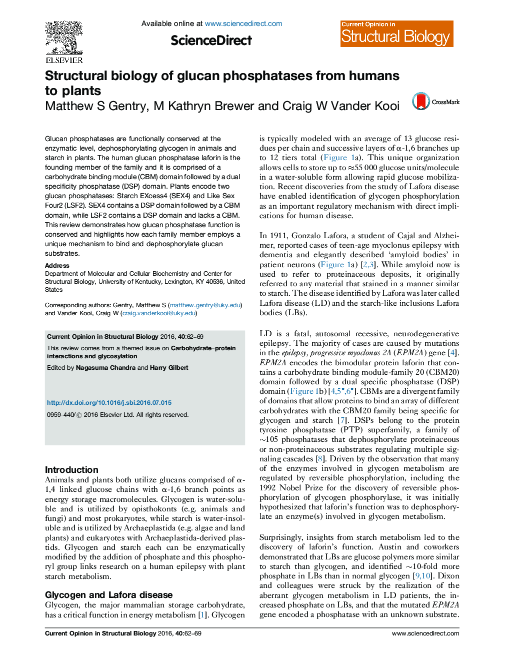 Structural biology of glucan phosphatases from humans to plants