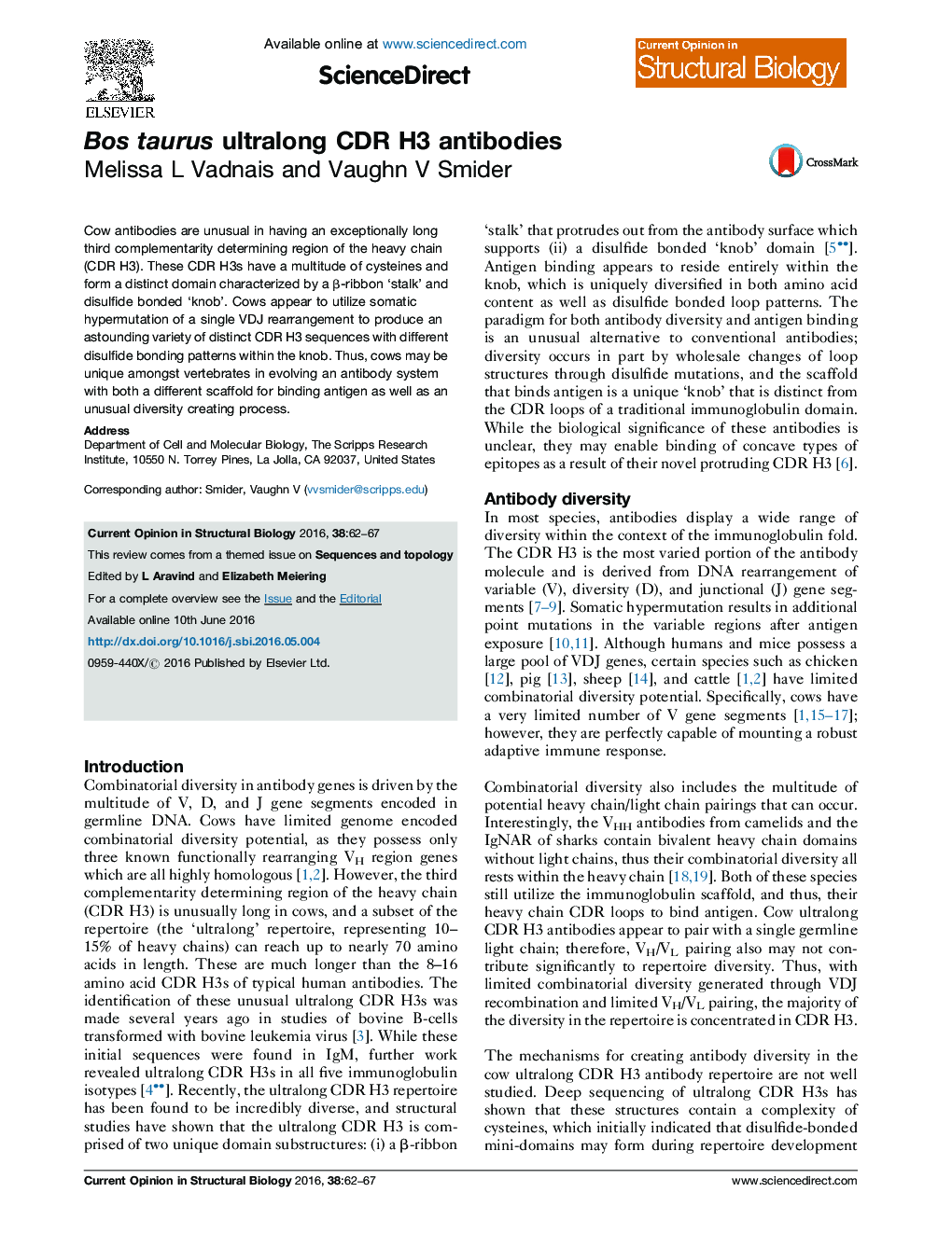 Bos taurus ultralong CDR H3 antibodies