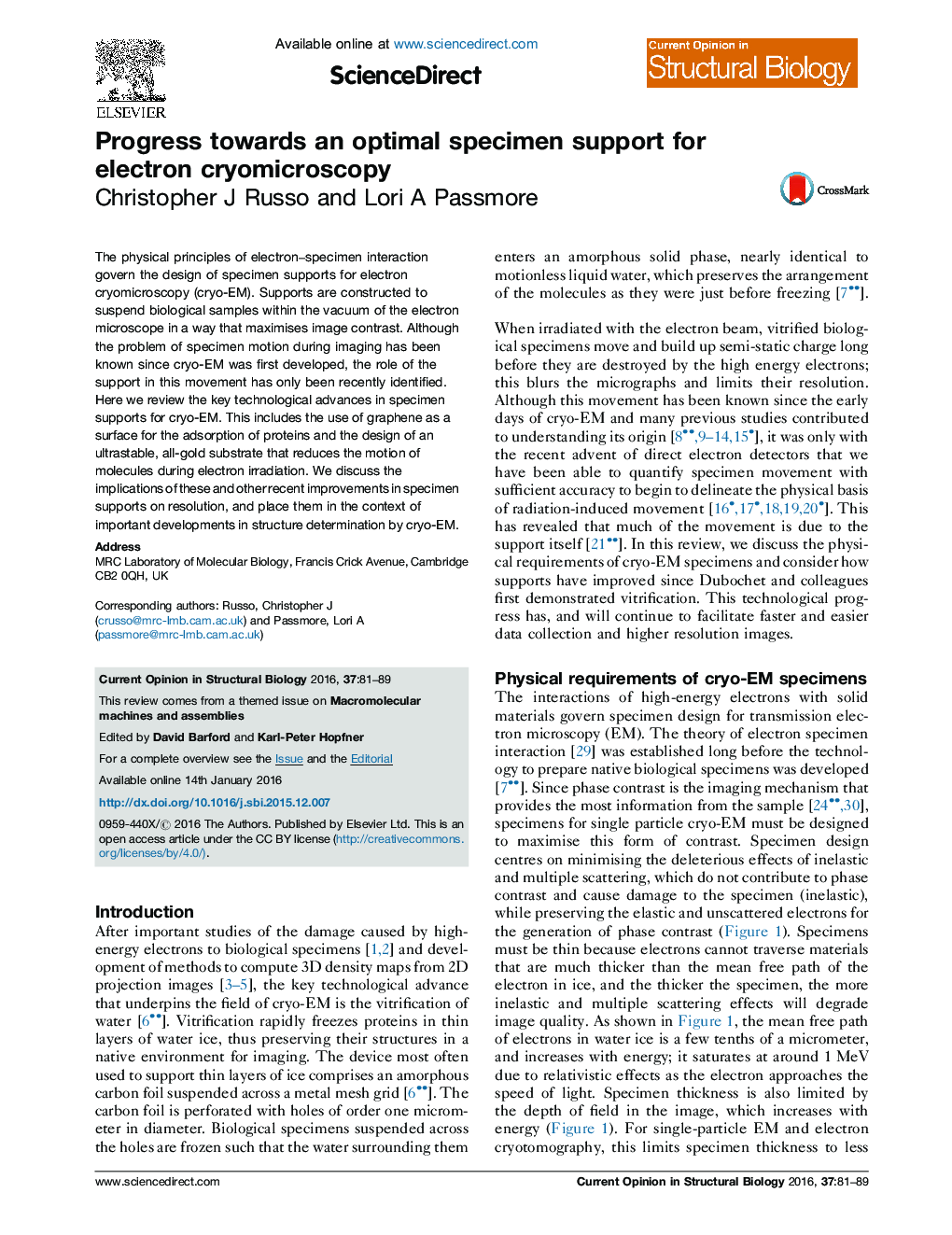 Progress towards an optimal specimen support for electron cryomicroscopy