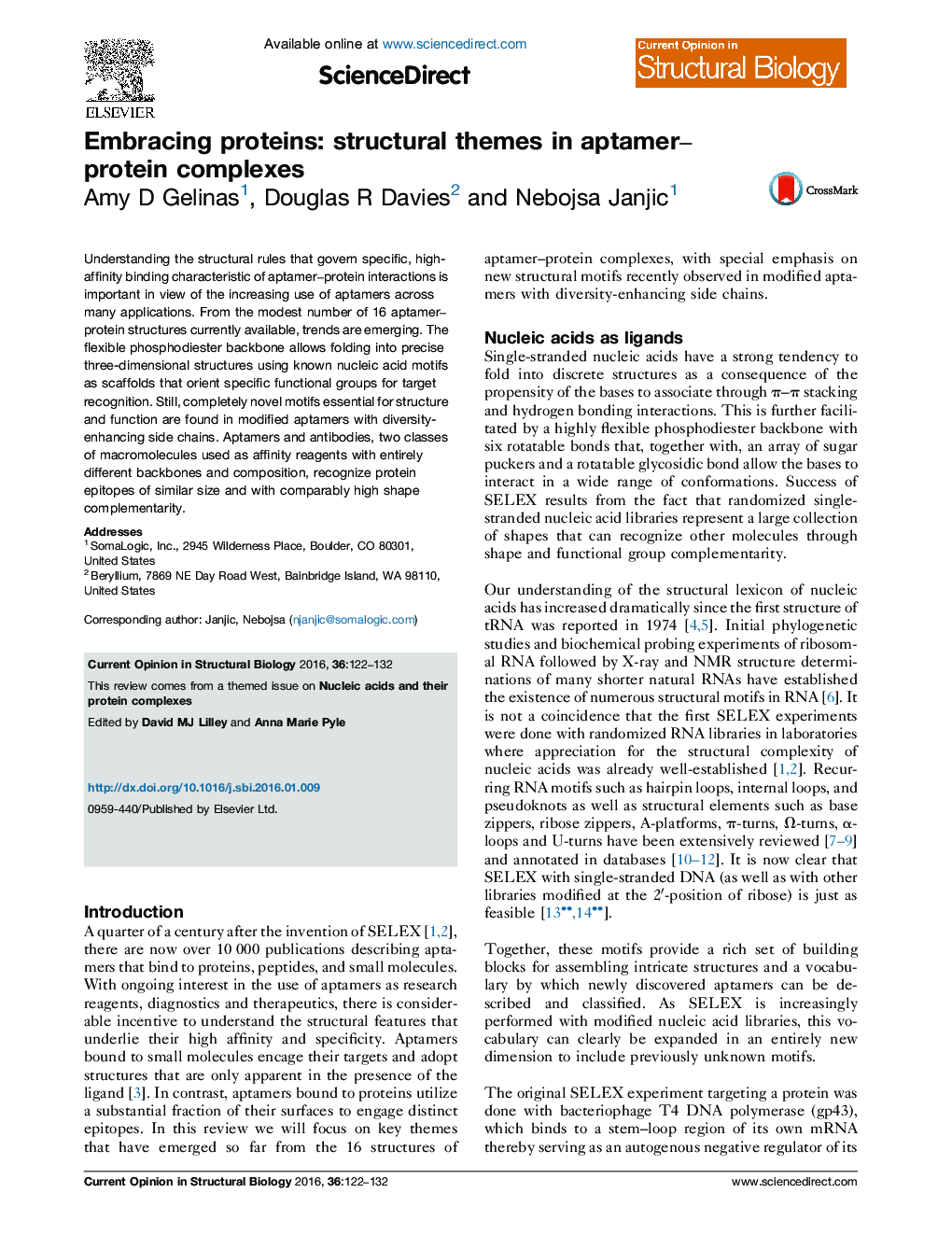 Embracing proteins: structural themes in aptamer-protein complexes