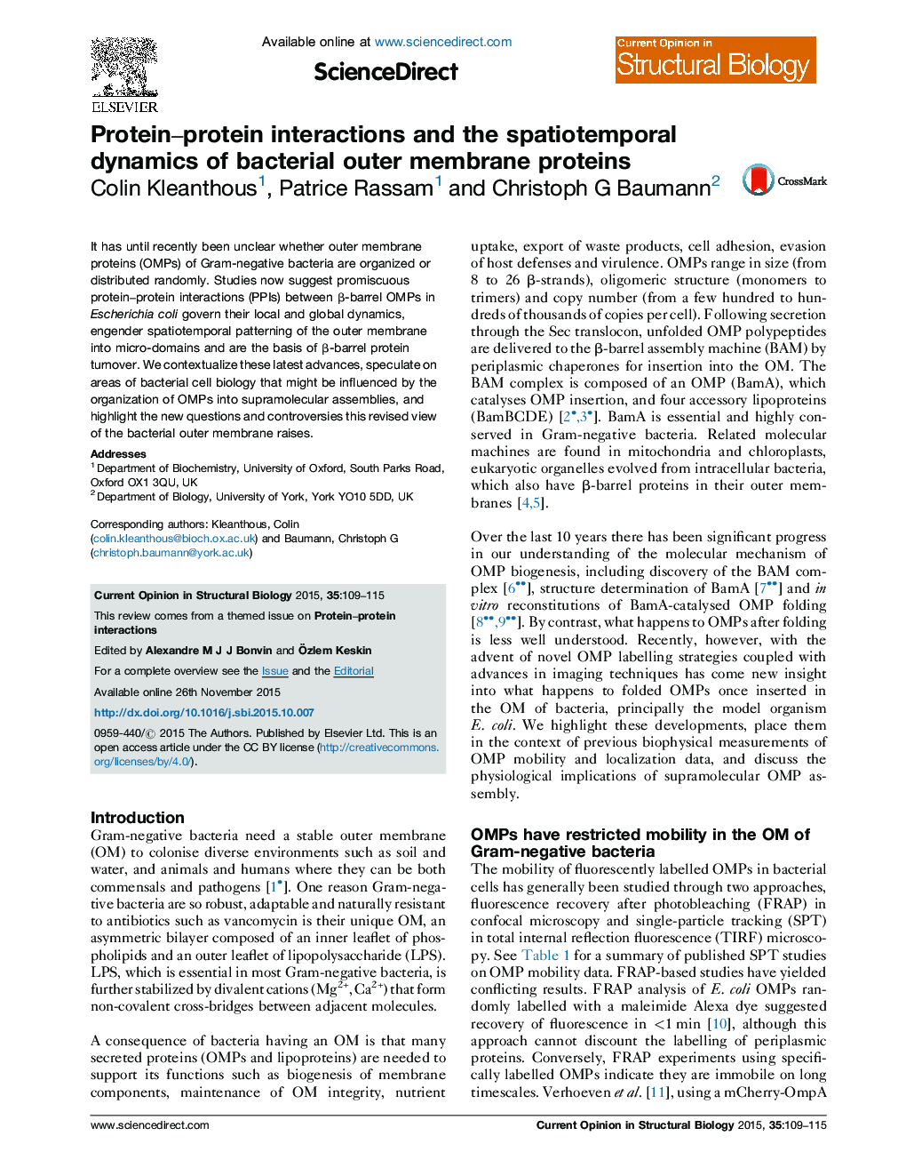 Protein-protein interactions and the spatiotemporal dynamics of bacterial outer membrane proteins