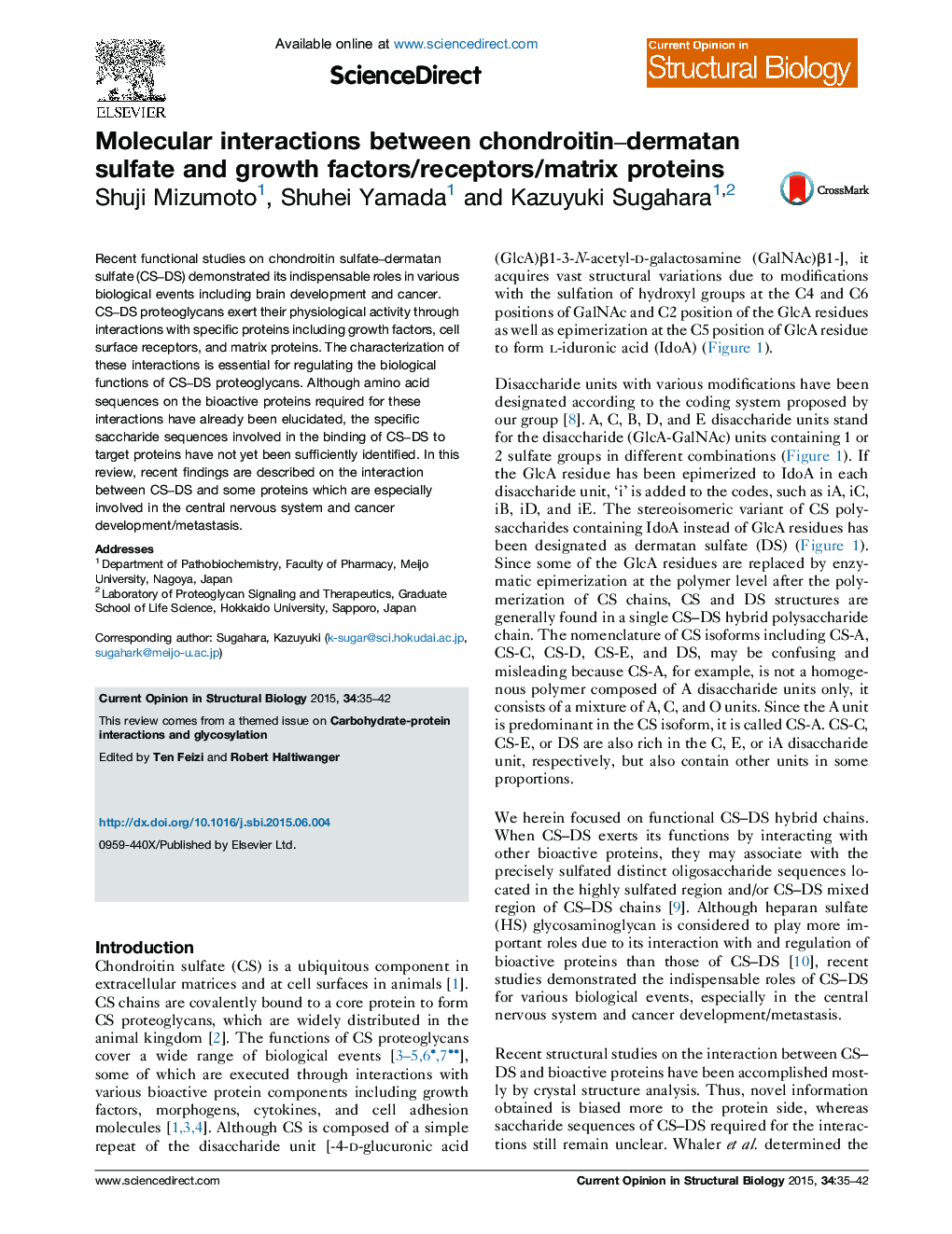 Molecular interactions between chondroitin-dermatan sulfate and growth factors/receptors/matrix proteins