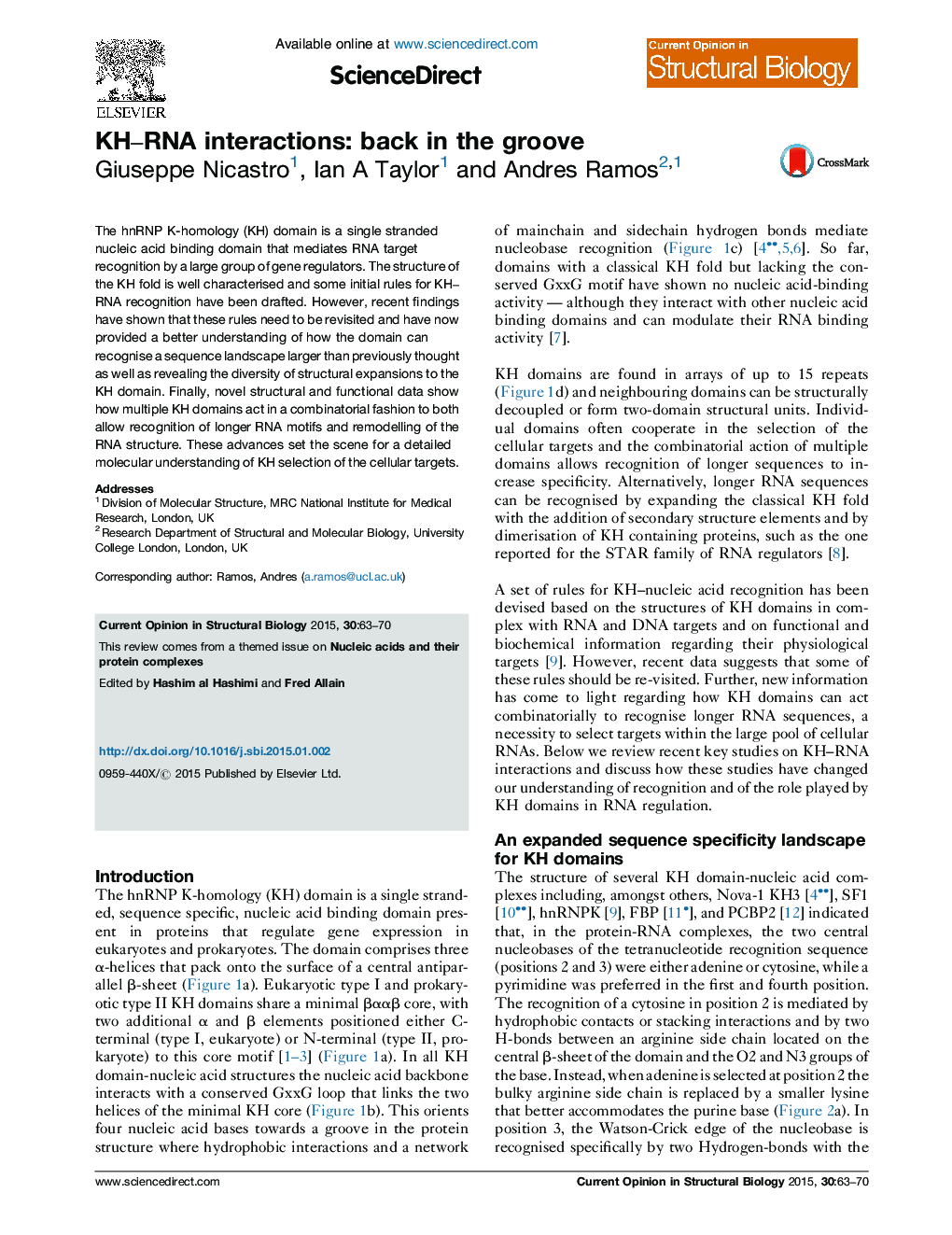 KH-RNA interactions: back in the groove